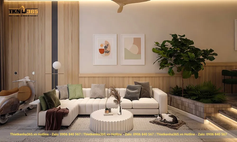 Thiết kế nhà ống 3x15