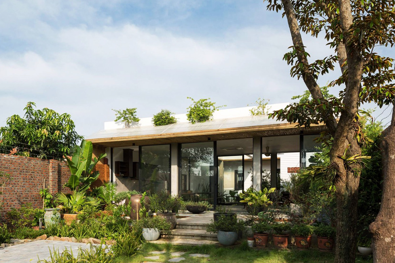 Mặt tiền nhà 30m2 cấp được trang trí nhiều cây xanh