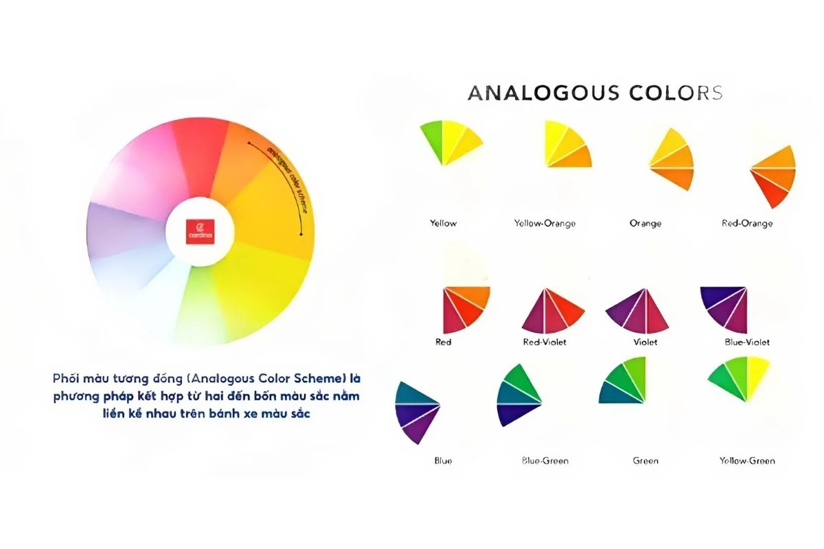 Sử dụng màu đơn sắc