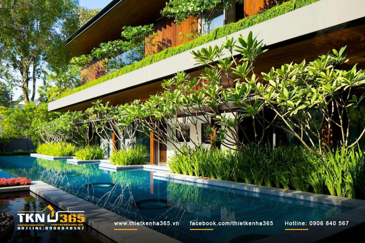 Biệt thự song lập hiện đại tích hợp bể bơi trước cửa nhà giúp việc di chuyển đến bể bơi nhanh chóng hơn