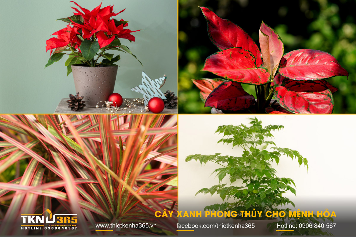 mệnh Hỏa hợp hướng nào 6