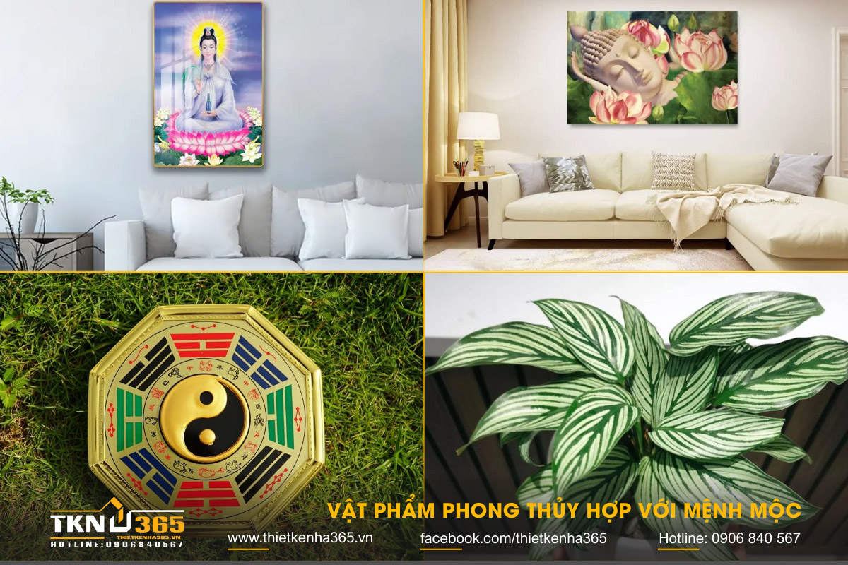 mệnh Mộc hợp hướng nào 6