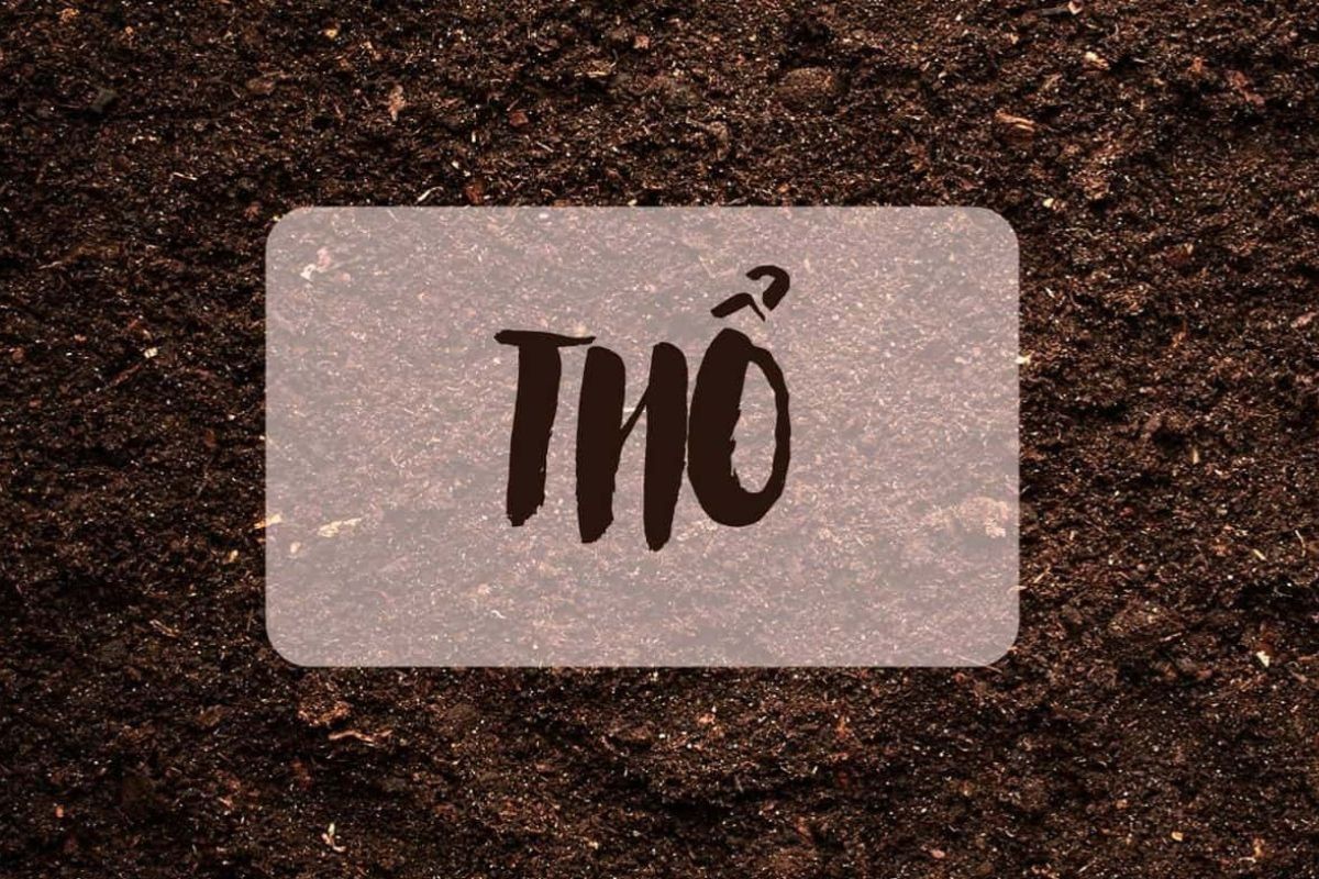 Nhà hướng Đông Bắc thuộc hành Thổ, phù hợp với gia chủ mệnh Thổ và mệnh Kim (Ảnh: Sưu tầm)