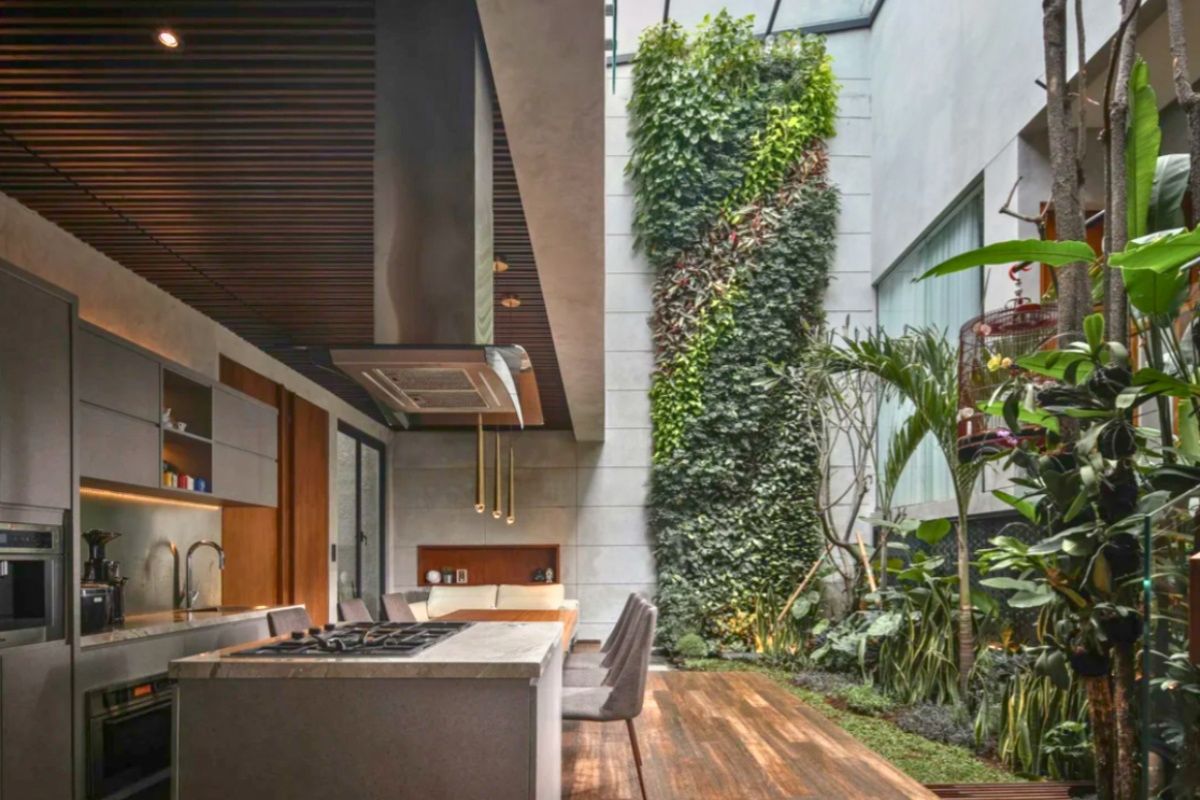 Sự kết hợp vườn dưới giếng trời cùng tường cây đứng (Ảnh: Sưu tầm)