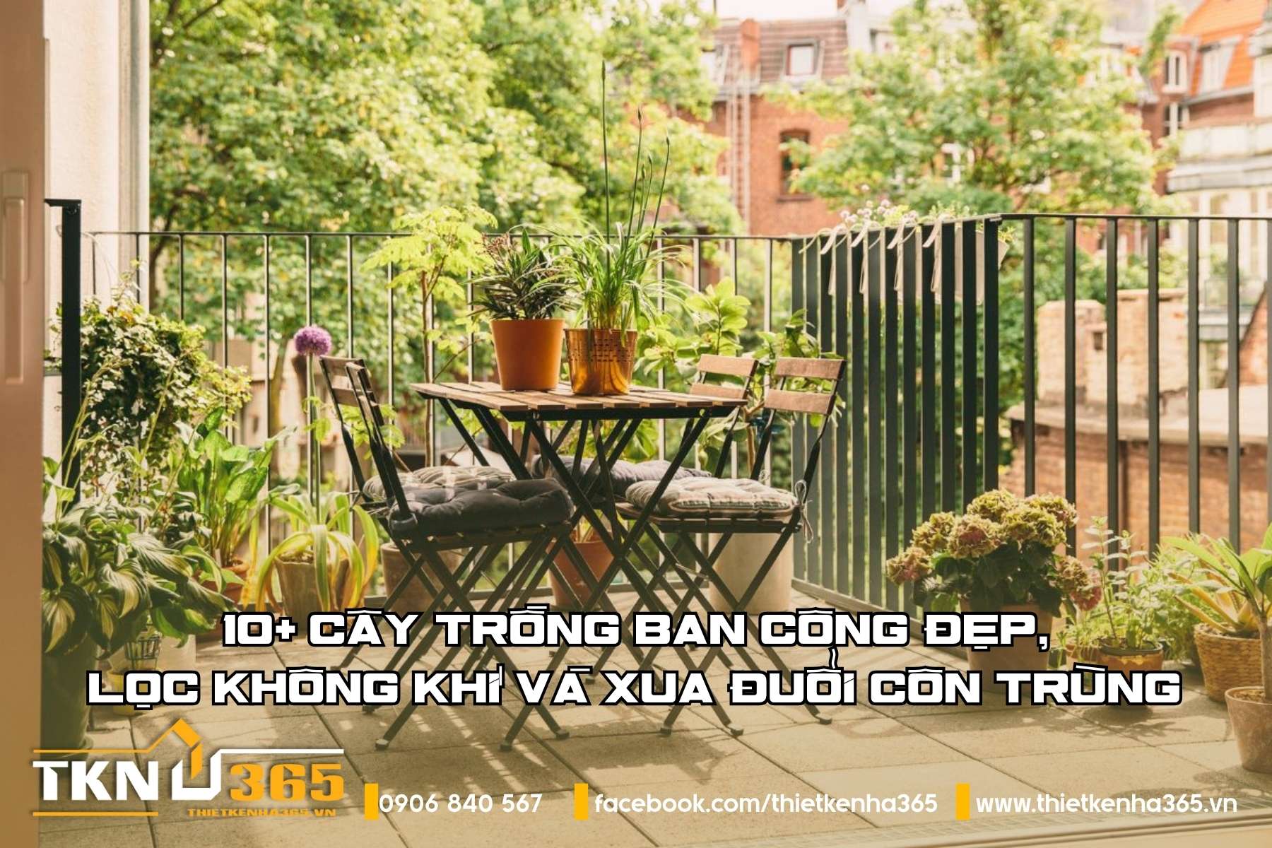 10+ cây trồng ban công đẹp, lọc không khí và xua đuổi côn trùng