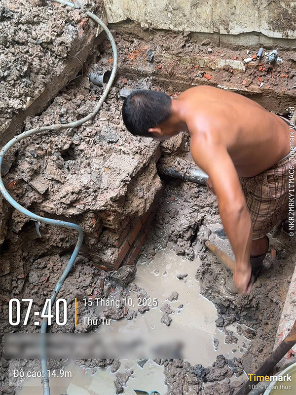 nha chu thanh tan binh 151025 2