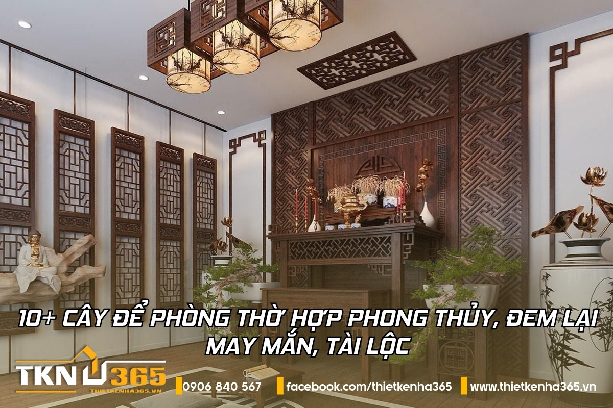 cây để phòng thờ hợp phong thủy