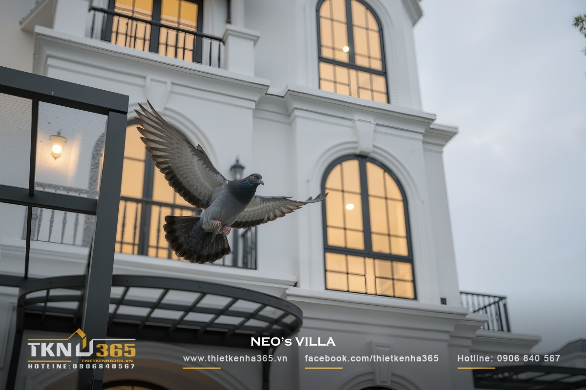 biệt thự 3 tầng t&acirc;n cổ điển sang trọng