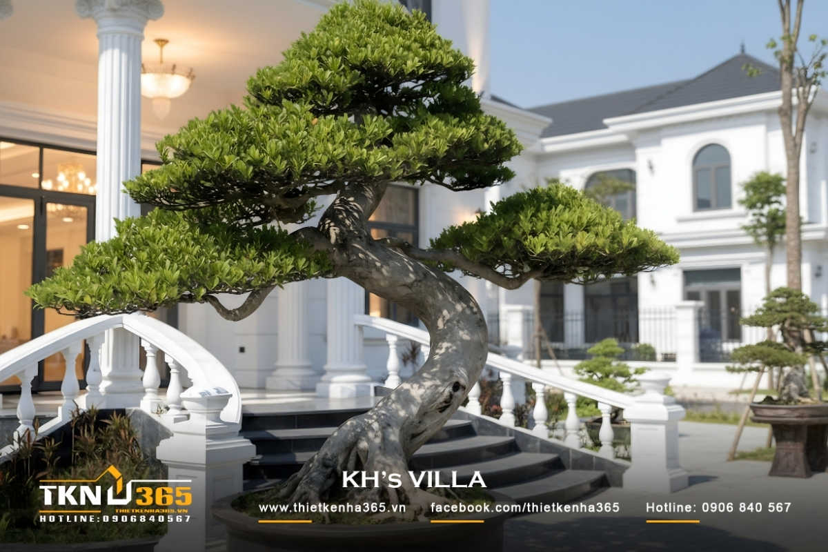 Mẫu biệt thự 3 tầng t&acirc;n cổ điển