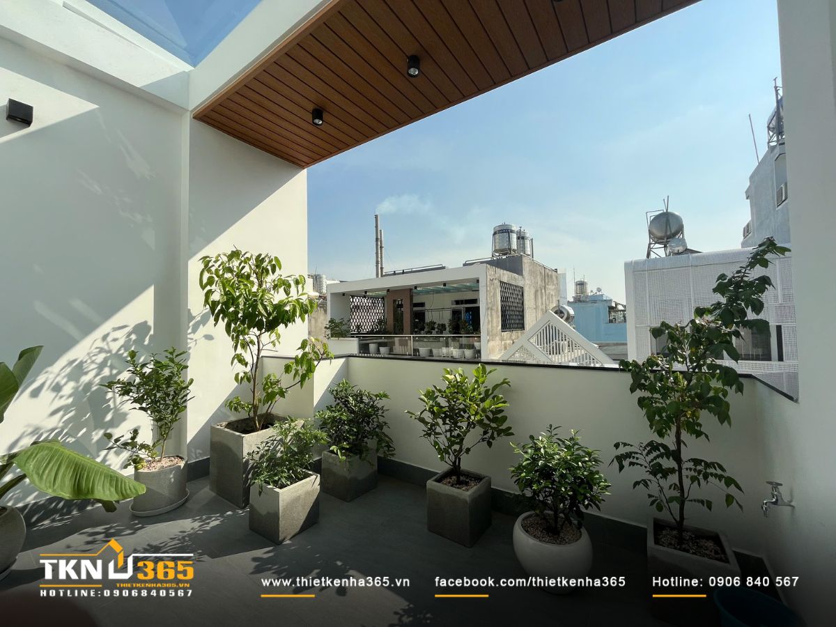 Sân thượng nhà Tô Hiệu có một khoảng vườn nhỏ với rất nhiều loại cây xanh khác nhau