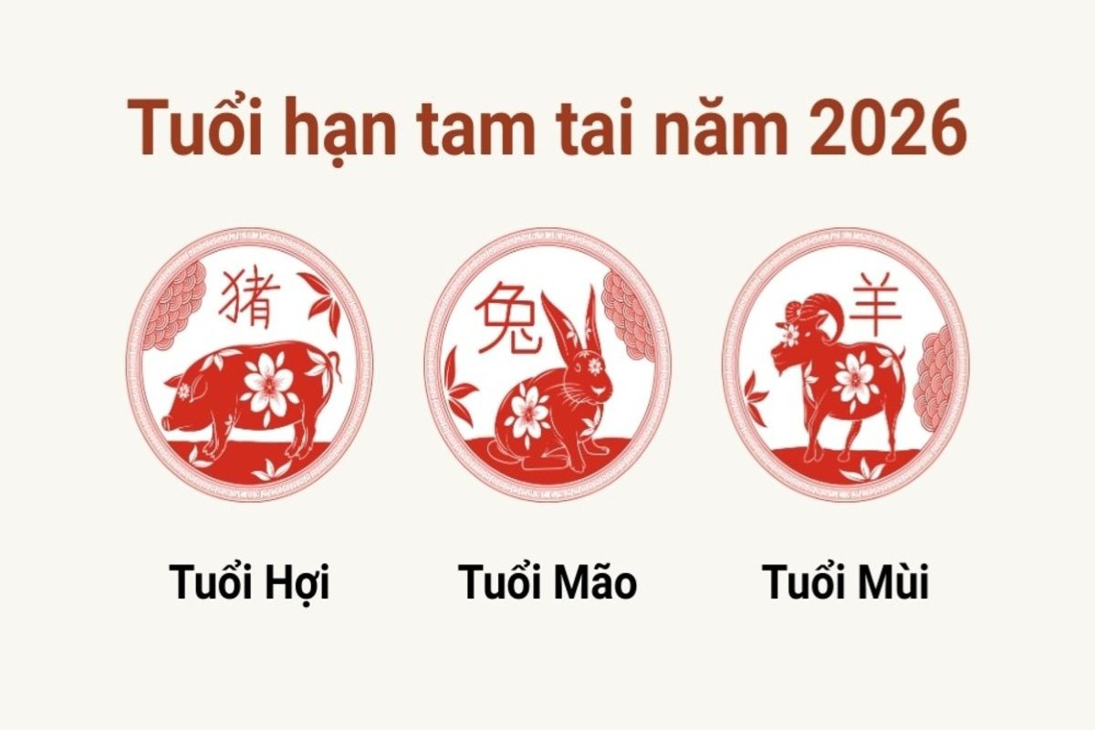 Tuổi đẹp làm nhà 2026 không phạm Tam Tai (Hợi - Mão - Mùi), dựa vào can chi Hỏa mạnh và mệnh Thủy linh hoạt (Ảnh: Sưu tầm)