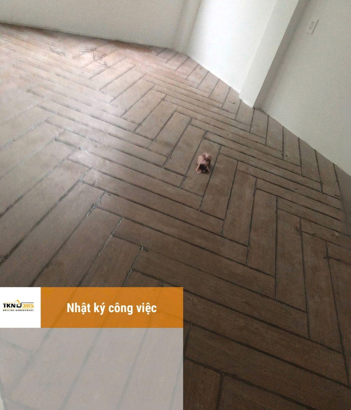 du an nha chi trang 7 2