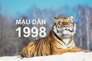 Thiết Kế Nhà 365 71 Nhiều gia chủ quan tâm đặt câu hỏi Mậu Dần 1998 làm nhà năm nào tốt để lựa chọn thời điểm khởi công thích hợp (Ảnh: Sưu tầm)
