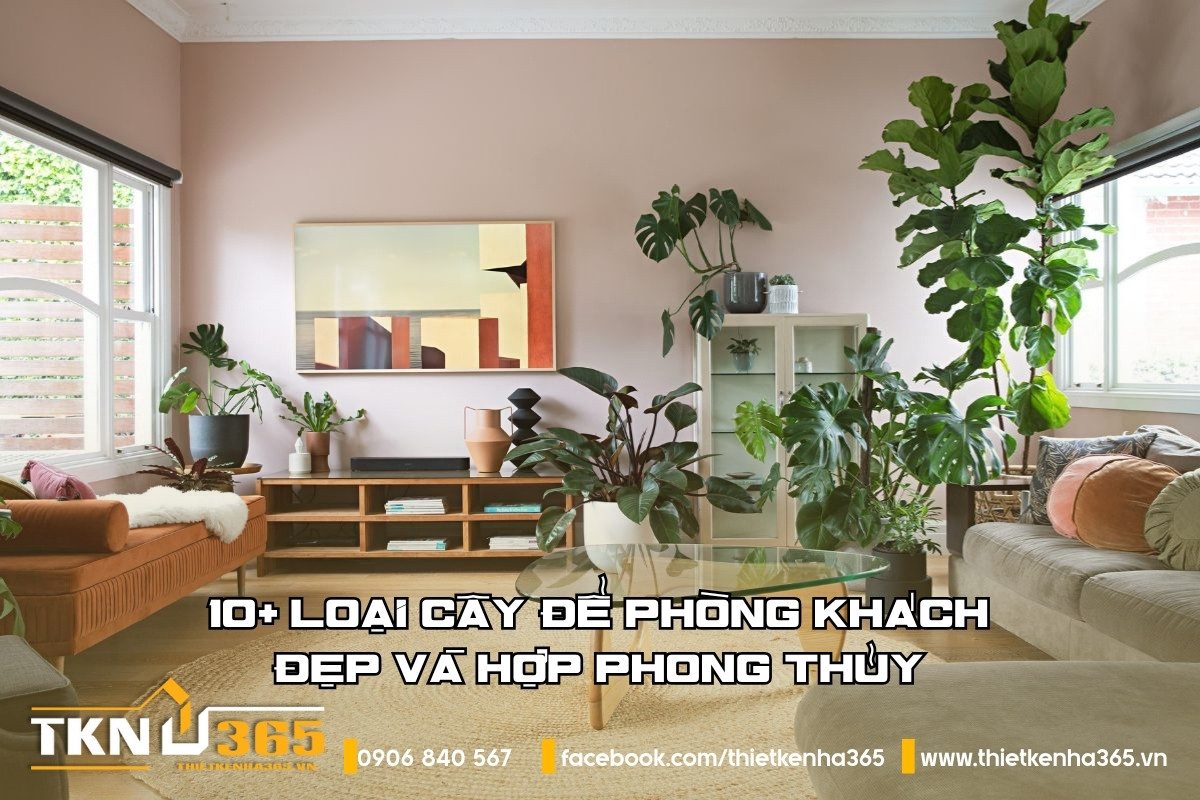 cay-de-phong-khach